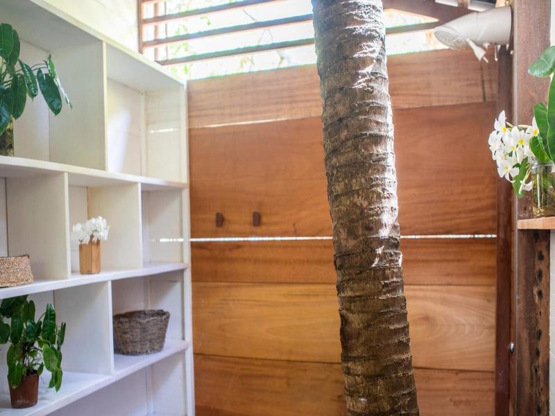 Muita Paz image