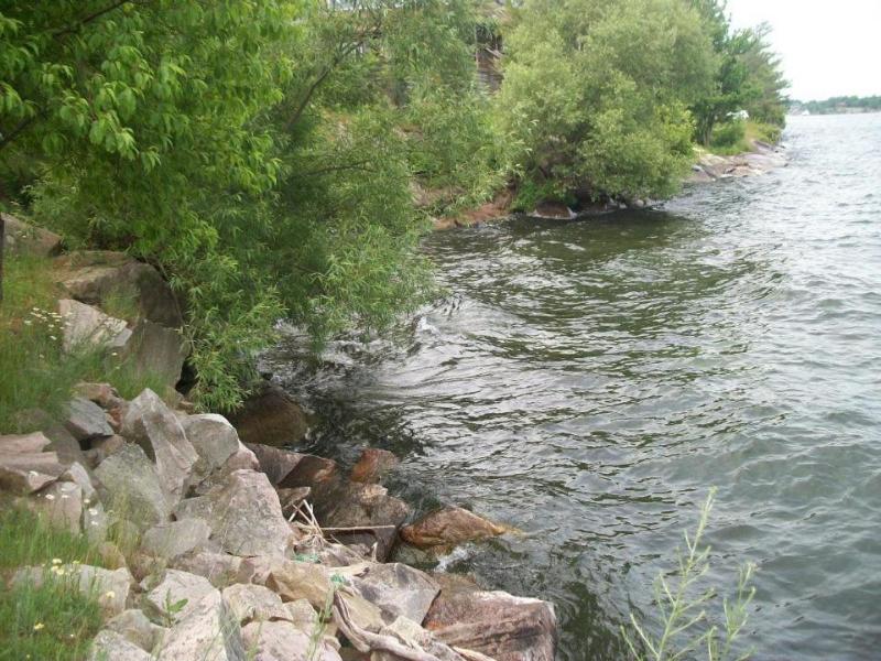 Bonnie Castle Resort & Marina image