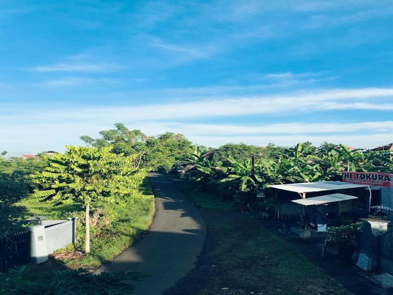 Hotel Arda Bali image