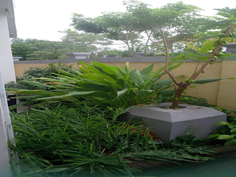 Hotel Arda Bali image