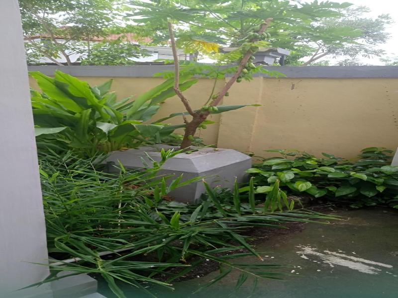 Hotel Arda Bali image