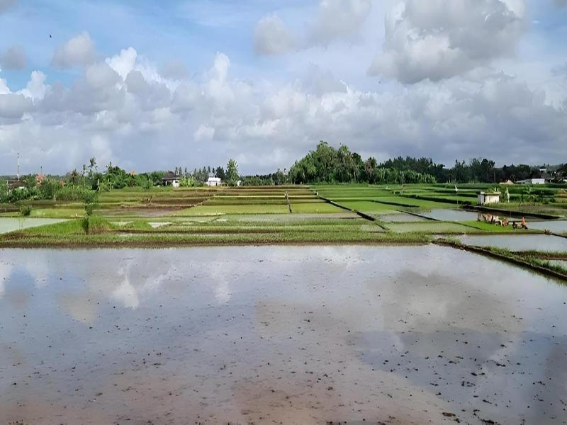 Hotel Arda Bali image