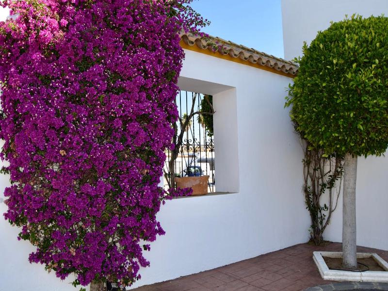 Puerta De Algadir image