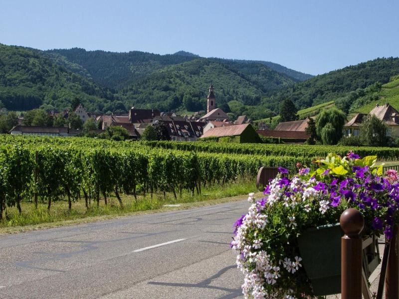 Hôtel Berceau Du Vigneron image