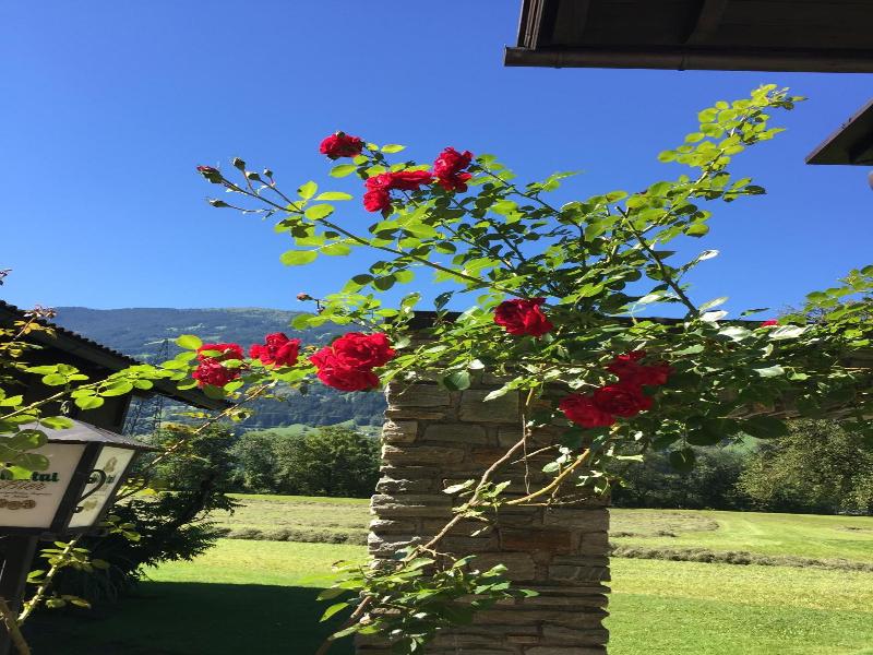 Gasthof Waldrast image