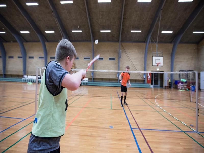 Sportspark Blaavandshuk Resort image