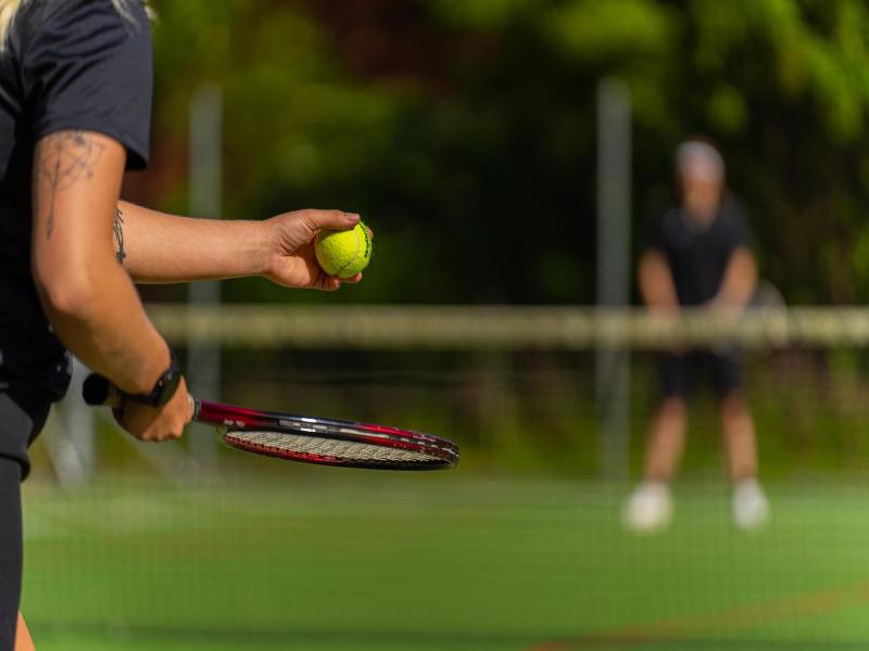 Sportspark Blaavandshuk Resort image