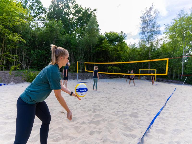 Sportspark Blaavandshuk Resort image