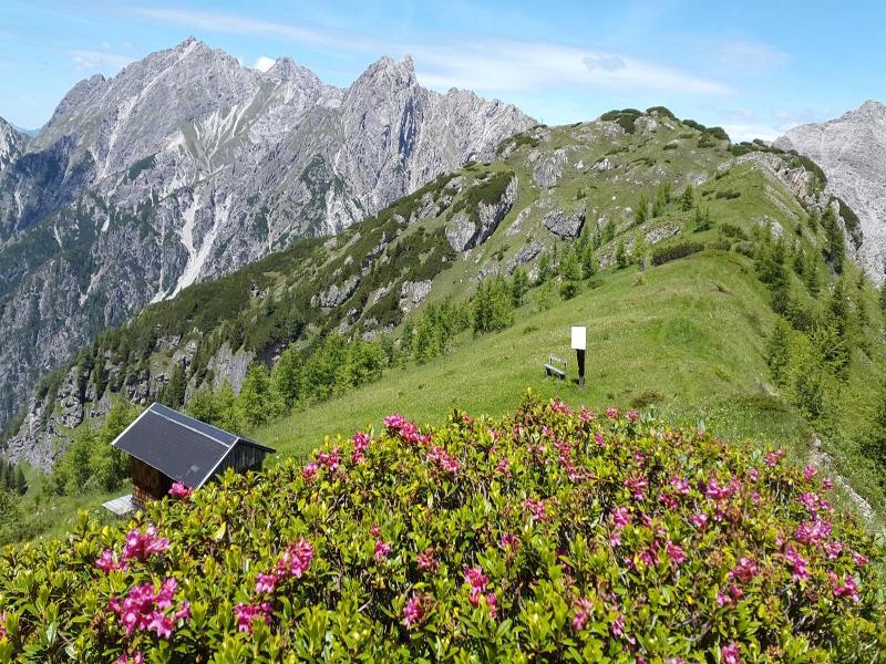 Gasthof Wacht image