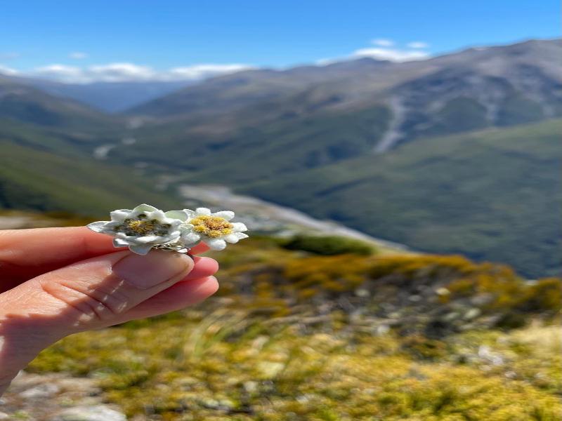 Arthur's Pass Motel & Lodge