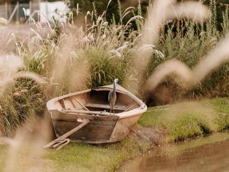 The Homestead image