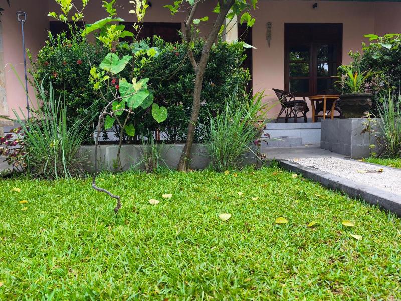 1000 Dream Bungalow image