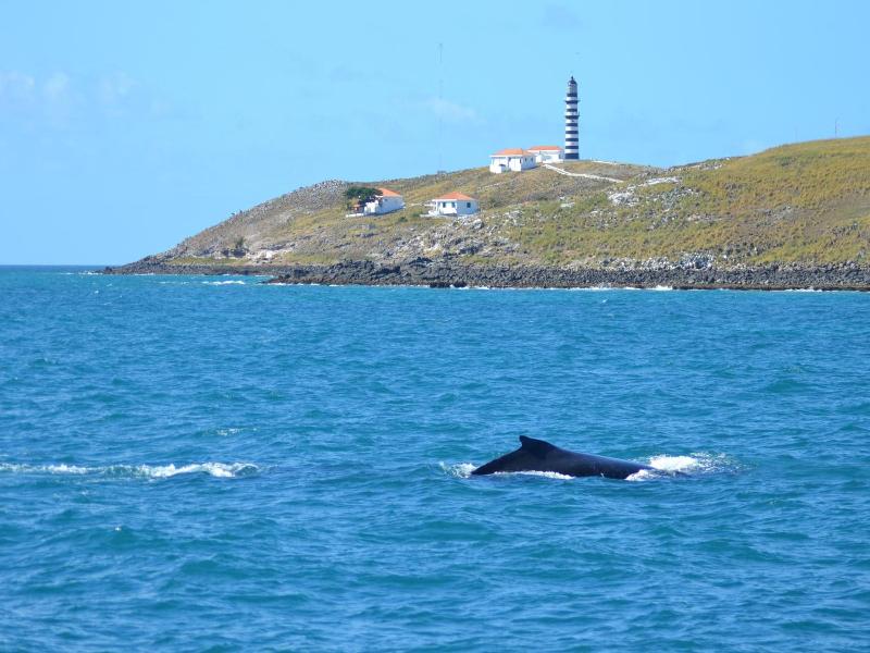 Pousada Corais De Abrolhos