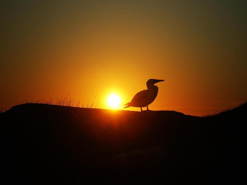 Pousada Corais De Abrolhos