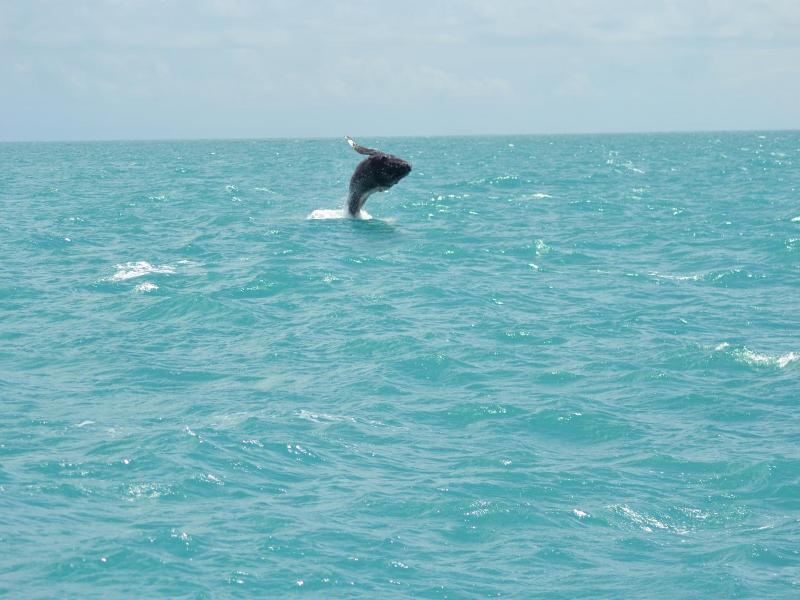 Pousada Corais De Abrolhos