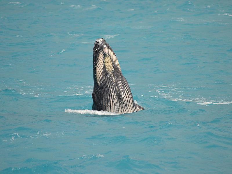 Pousada Corais De Abrolhos