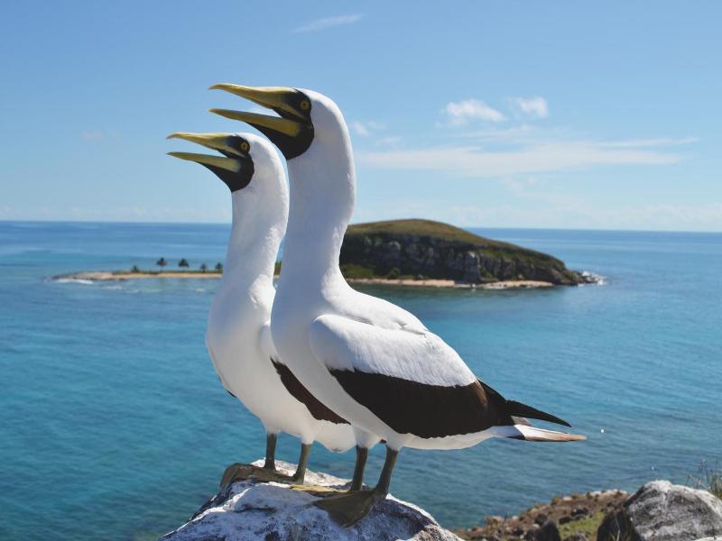 Pousada Corais De Abrolhos