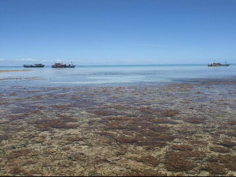 Pousada Corais De Abrolhos