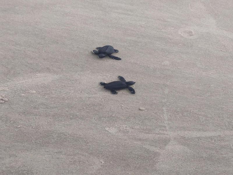 Pousada Corais De Abrolhos