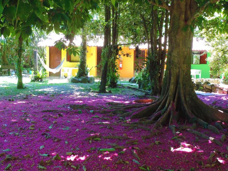 Pousada Sitio Das Flores image
