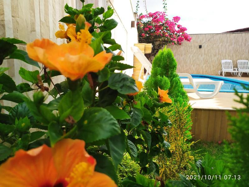 Pousada Barreirinhas House image