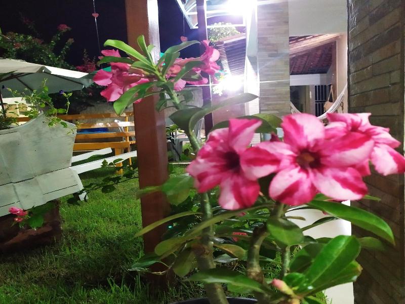 Pousada Barreirinhas House image