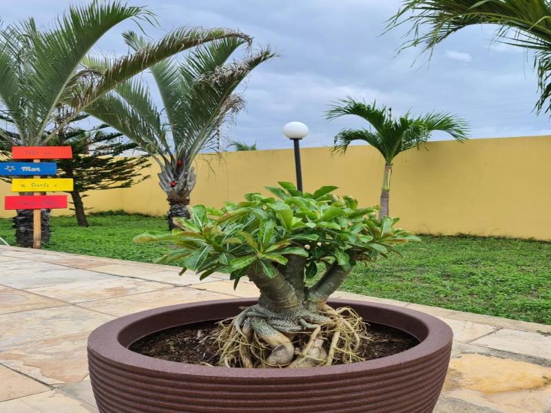Pousada Sonho De Mar