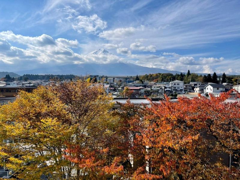 Megu Fuji 2021 image