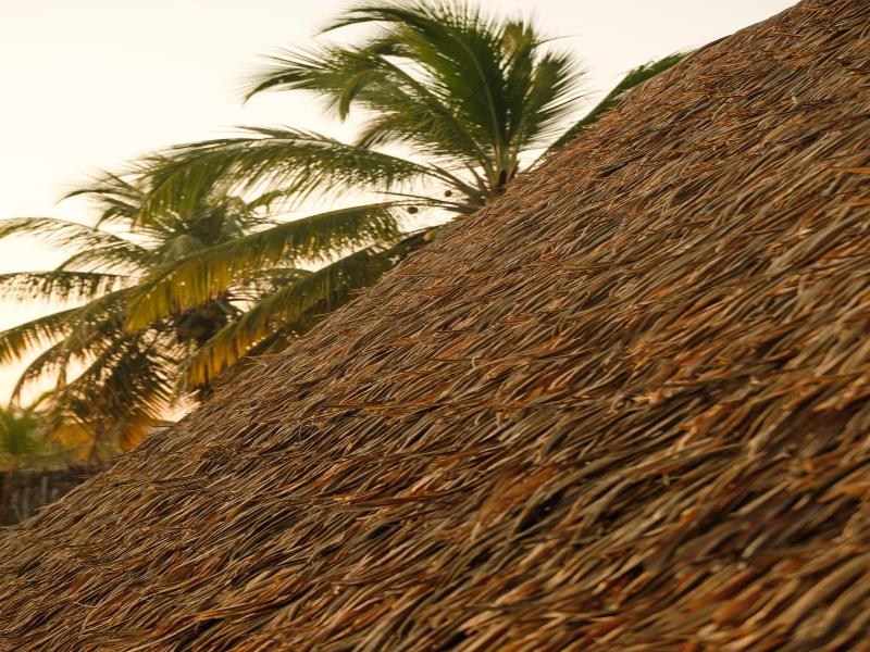 Cabanas Blue image