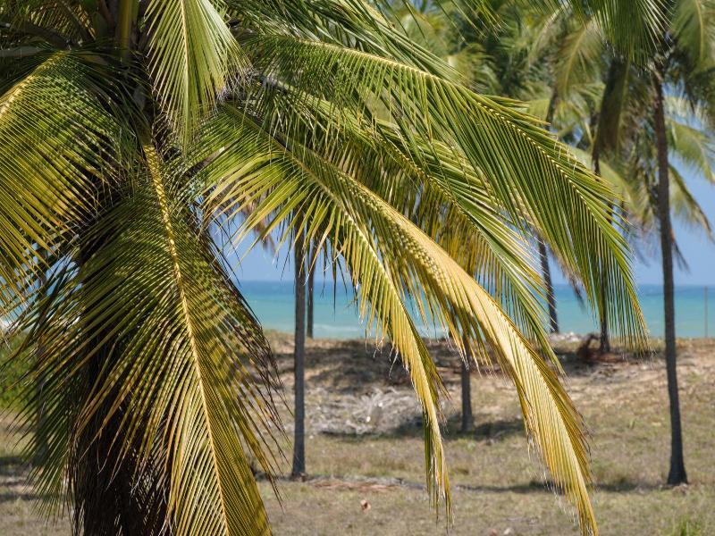 Cabanas Blue image