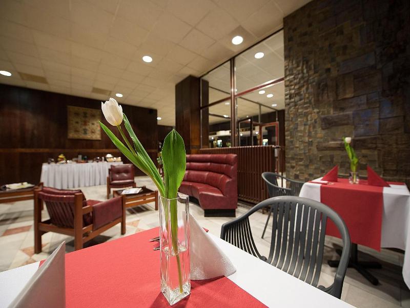 Hotel Kladno image