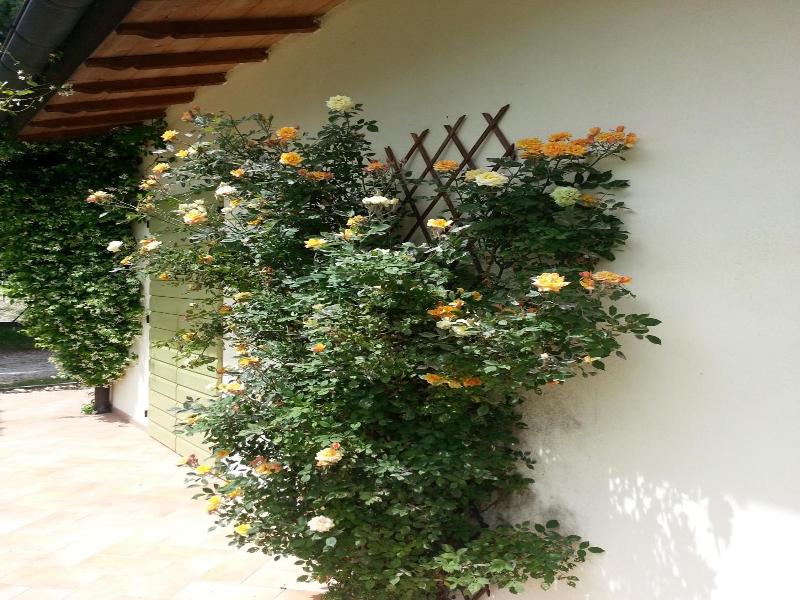 Caterina Residence image