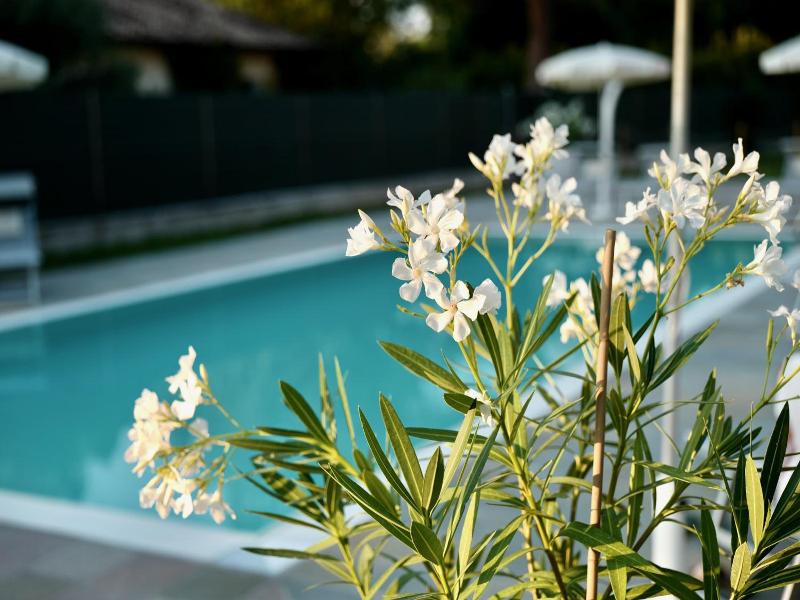 Caterina Residence image