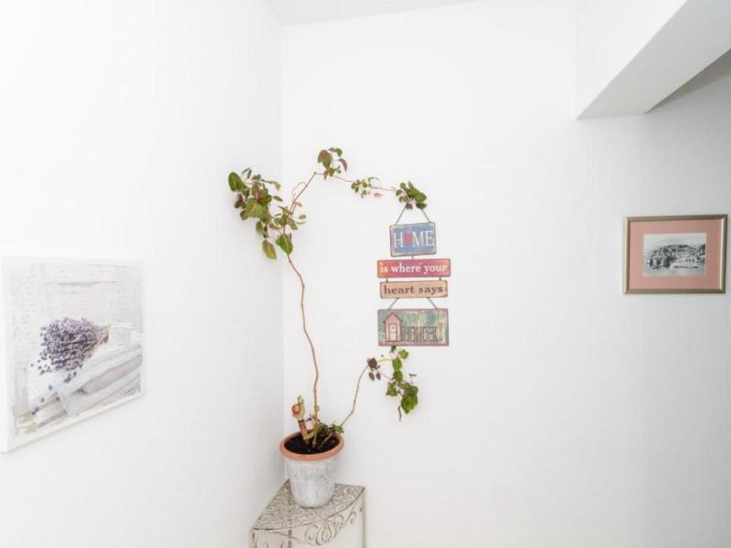 Ivo Guest House image