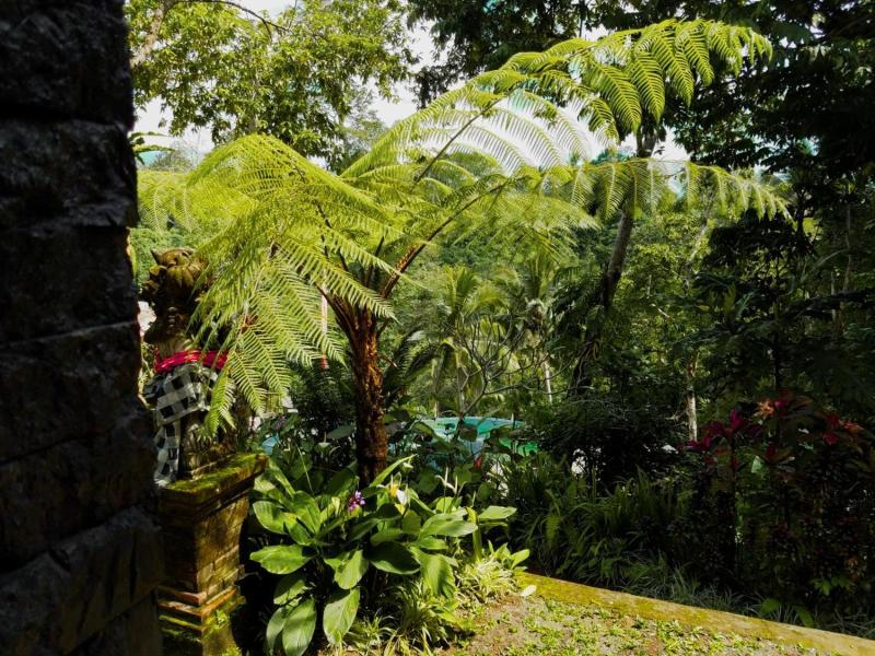 Angsoka Bungalow image