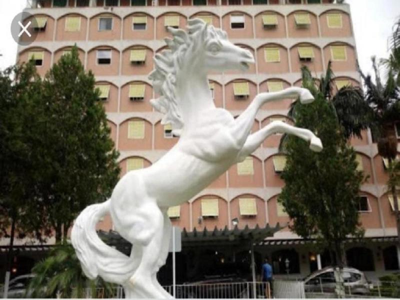 Flat Cavalinho Branco - Ap 516