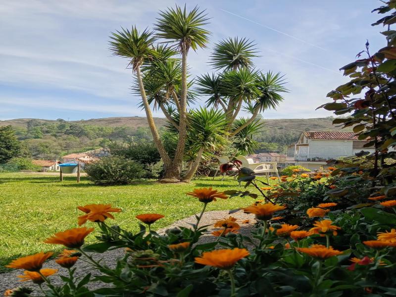 Hotel Migal image