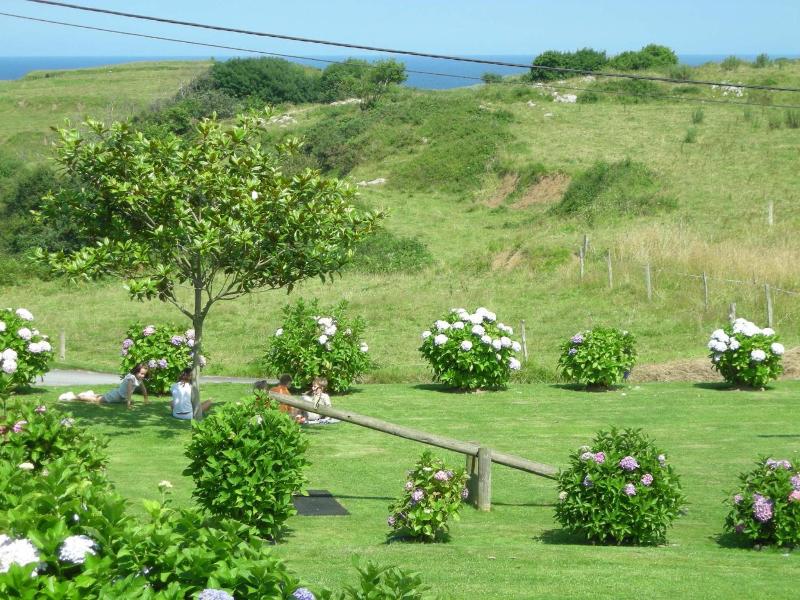 Hotel Migal image