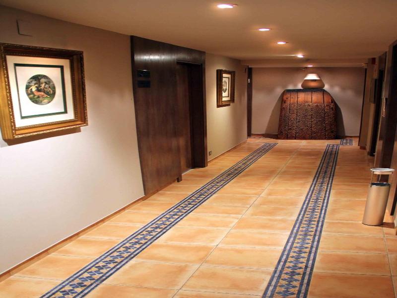 Hotel Virrey image