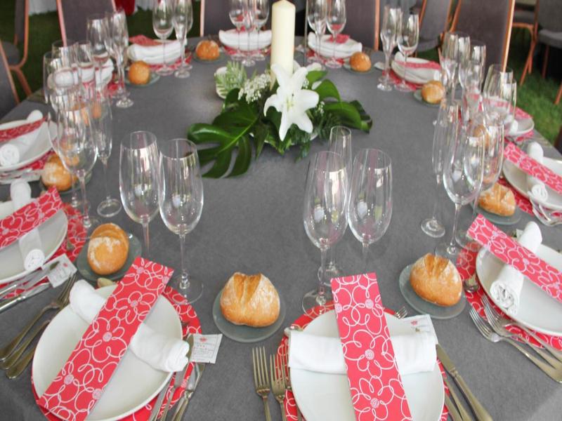 Hotel Virrey image