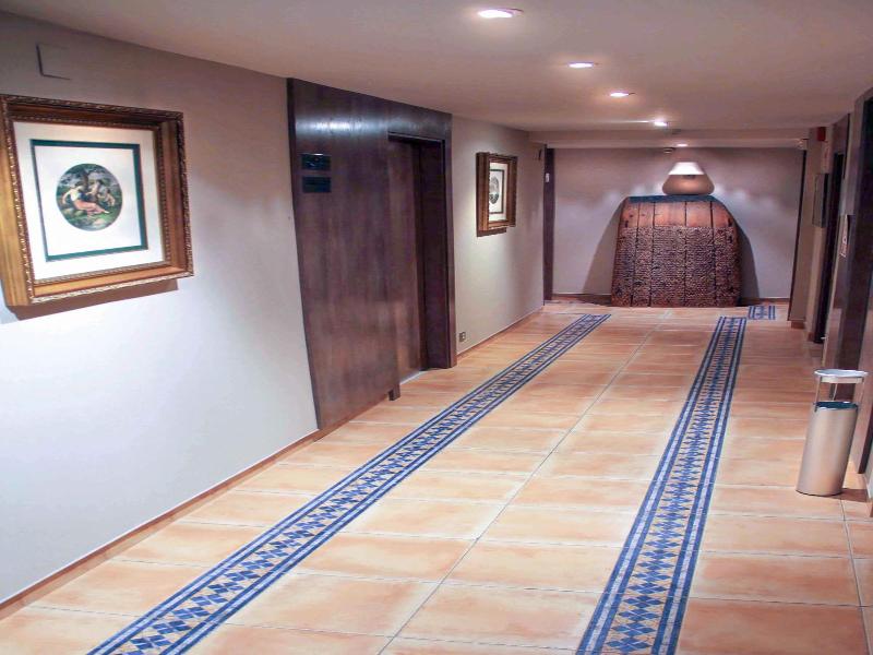 Hotel Virrey image