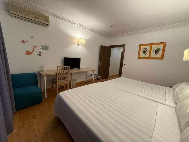 Hotel Virrey image