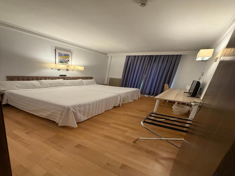 Hotel Virrey image