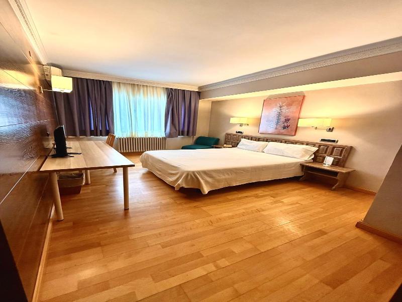 Hotel Virrey image