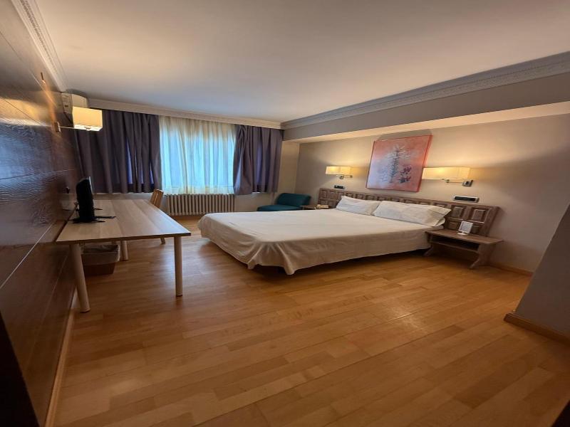 Hotel Virrey image