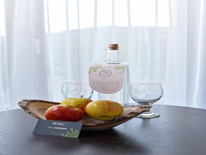 Wellness Hotel Vista image
