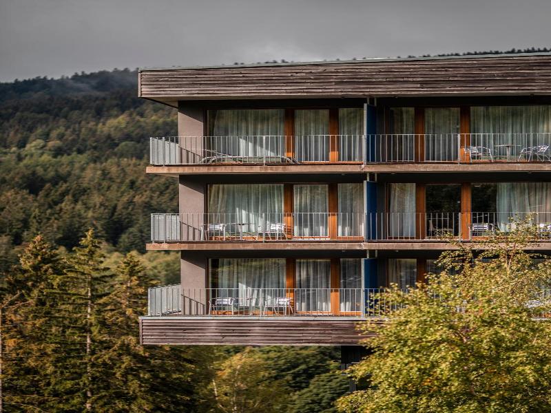 Wellness Hotel Vista image