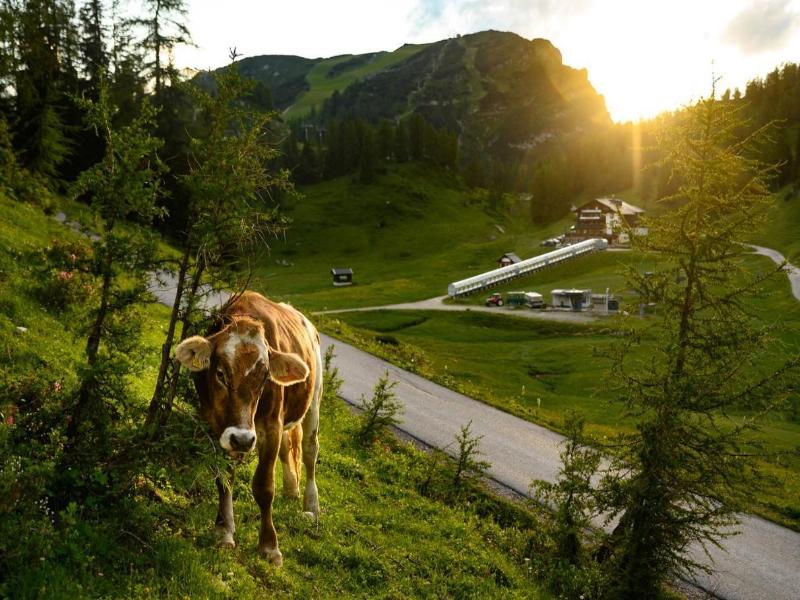 Hotel Alpen Arnika image