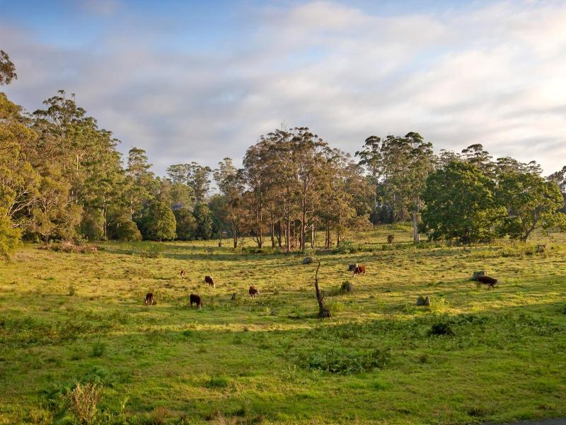 The Castle On Tamborine image