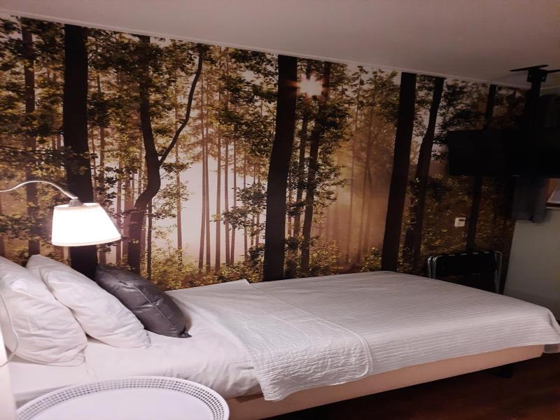 City Hotel Meppel image